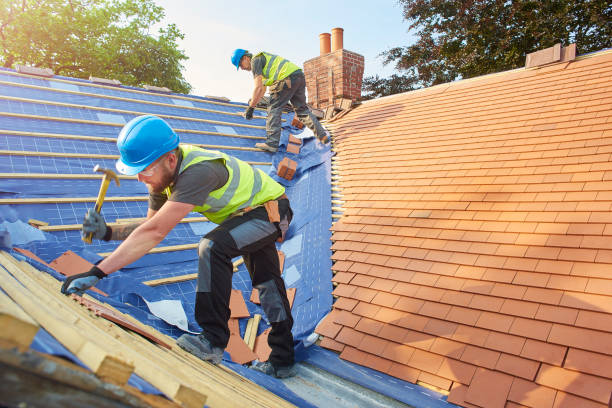 Best Roof Maintenance and Cleaning  in Mamou, LA